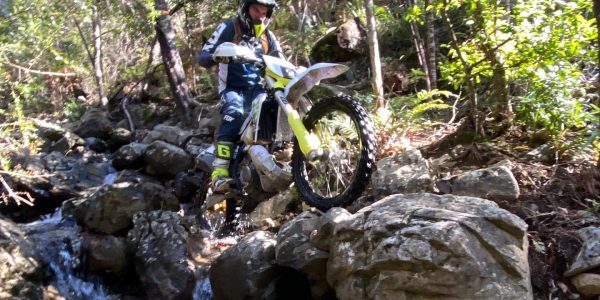 185878723_1520842244973934_295057215750431077_n